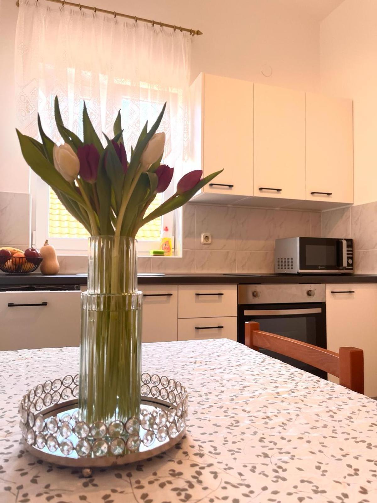 Family Holiday Apartments Lucia 보디체 외부 사진
